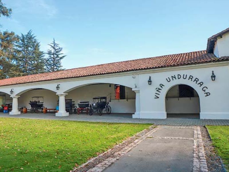 Viña Undurraga